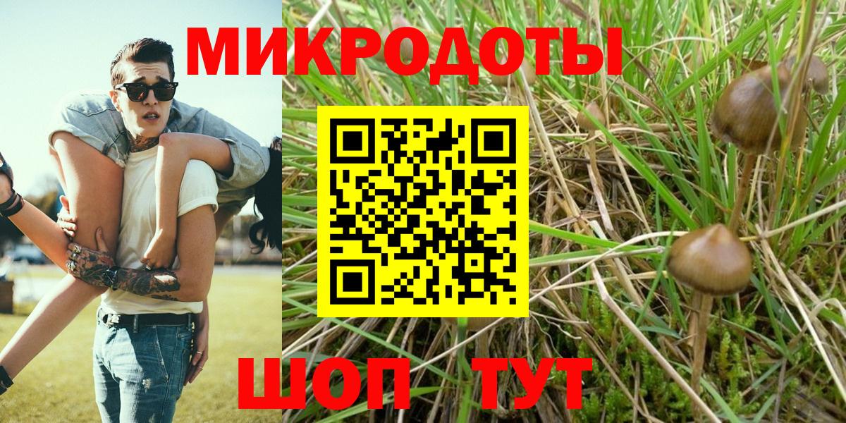 Галлюциногенные грибы Magic Shrooms  Галлюциногенные грибы мицелий  Вход с VPN  Верхняя Салда 